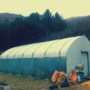 바비큐꼬기도시락 이미지