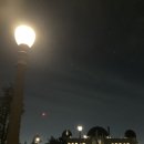 019-2 | 019