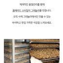 브론테하우스