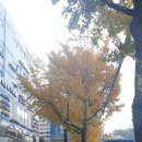 우신프라자약국 이미지