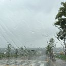 도미노피자(포항오천점) 이미지