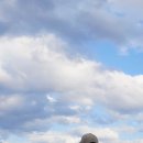 다래모텔 | 강릉 가볼만한곳 여행맛집 여고시절카레떡볶이, 길감자, 툇마루 커피 &amp; 강문해변 근처 후기