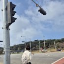 이마트24태안안면꽃지점 이미지