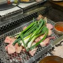 [서울/을지로] 숯불 고기구이 &#39;산청숯불가든 을지로점&#39;