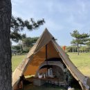 디자인서커스 이미지