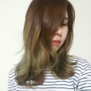 살롱드 주하