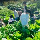 별초롱어린이집 이미지