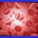 주식회사 천도 이미지