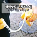 명랑핫도그 신중동점 | 명랑핫도그 자이언트 치즈스틱 시식 후기 가격 칼로리 정보 명량핫도그 아님 주의