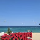 송정늘푸른태권도 | 카이트 서핑 성지 익스트림 수상 스포츠 강릉 송정해변 방문 후기
