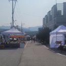 횡성군우천보건지소 | 횡성 우천 5일장에서 더덕할매 만난 이야기