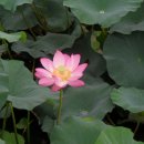 성호빌딩 티스토리