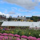 김일수 | 전주근교 가볼만한곳 임실치즈테마파크 2025년 10월 임실N치즈축제(10/8수~10/12일)