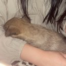 조가물민박 이미지