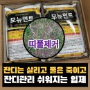 한국아그로 | 귀찮은 잔디 제초 관리, 정말 쉬울까? "모뉴먼트 입제" 손쉽고 안전하게, 오래도록