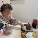 맘보투 네이버블로그