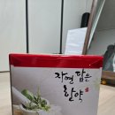 침전 | 저렴한 가격의 체지방 줄여주는 비대면 진료 다이어트 한약 / 내돈내산 다이어트 후기