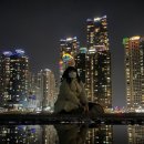 서생상회 이미지