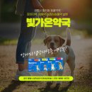 빛가온약국 이미지