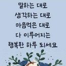 애완동물 상위시대~~ 이미지