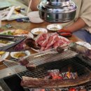 초록나무펜션 | 경기도 가평 펜션 추천 유명산 계곡 바베큐 무한리필 숙소 초록풍경