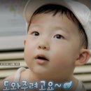 태하돈 이미지
