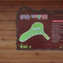 소막대기펜션 | 경주 감성 숙소 &#39;삼막골 카라반 펜션&#39; 가성비 좋았던 글램핑 후기