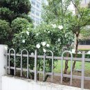 일성유통 이미지