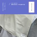 대전 퍼스널컬러 추천, 팔레트(Palette)에서 진단받은 내돈내산 솔직후기