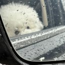 카페 MIMINKO 이미지