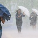 이놈마켓 이미지