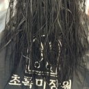 영 미장원 | 호매실금곡동미용실 초록미장원 호매실금곡점 추천