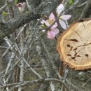 이시아호텔 이미지