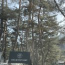 원주농협주유소 이미지