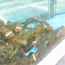 장군수산 이미지