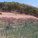 동수농장 이미지