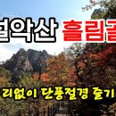 단풍이 채색한 흘림골 | 주전골거쳐 오색약수까지 | 2024.10.17 탐방 이미지