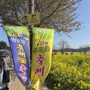 꽃의 노래 | [강원도][삼척] 제22회 삼척 맹방 유채꽃 축제 후기(주차, 먹거리, 유채꽃 규모)