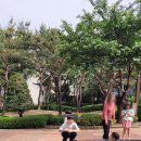 보훈정육점