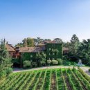 벨라비스타 이미지