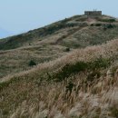 꽃의나라 이미지