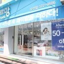 알레르망화성