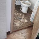 세탁백화점 하이얀마을 이미지