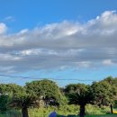 금앤옥통나무팬션 | 2025 추석 모음.zip