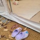 정이품송가든 이미지