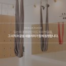 새올리아