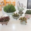 영암도기박물관 이미지