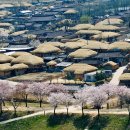 달멍하우스 이미지