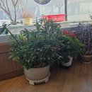 명태명가계산동 이미지