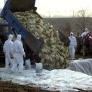 도동농장 이미지